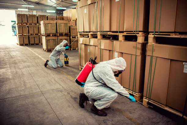Best Termite Control Services  in Winder, GA