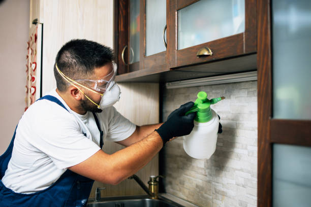 Best Pest Removal Services  in Winder, GA