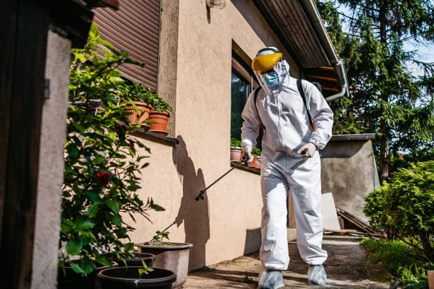 Best Pest Removal Services  in Winder, GA